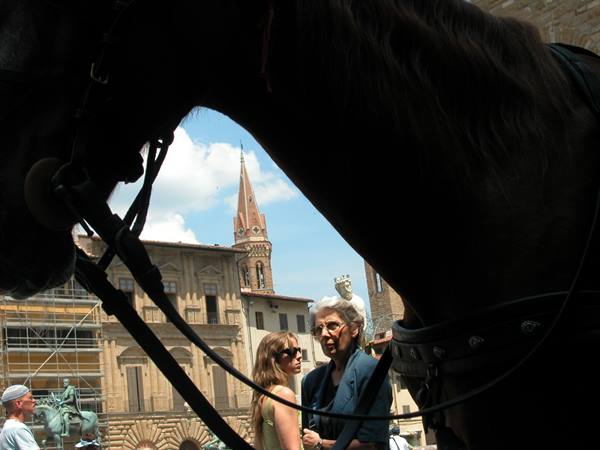 Two tourists beneath a carriage horse's head, Piazza della Signoria, Florence