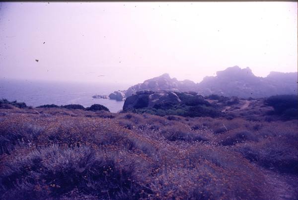 Granite rocks and Mediterranean scrub above the hazy sea