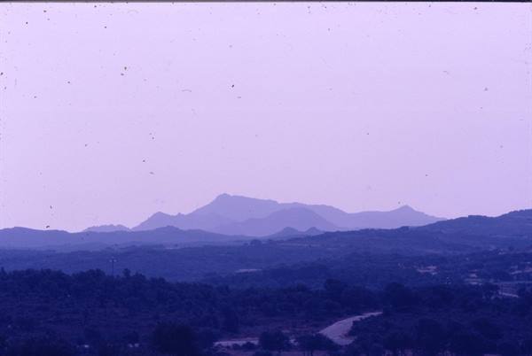 Forested hills in violet haze, a road winding through the trees