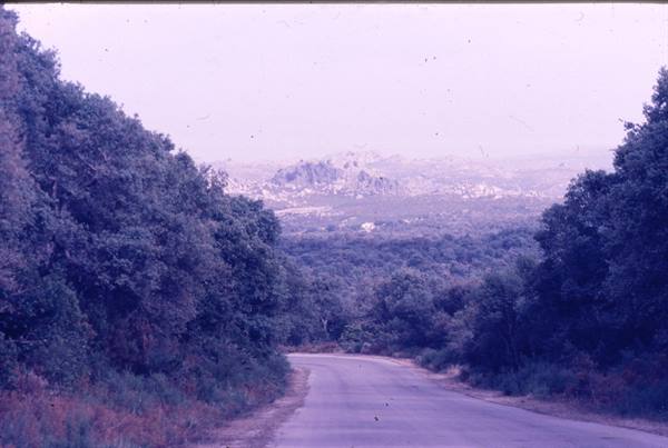 Paved road winding through Mediterranean scrub, granite rocks hazy in distance