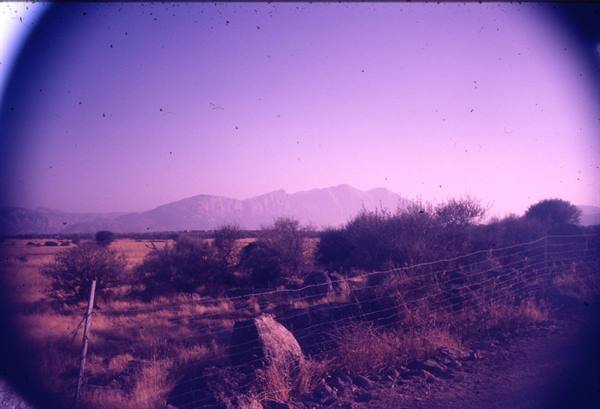 Barbed wire fence among dry shrubs, hazy mountains in the background