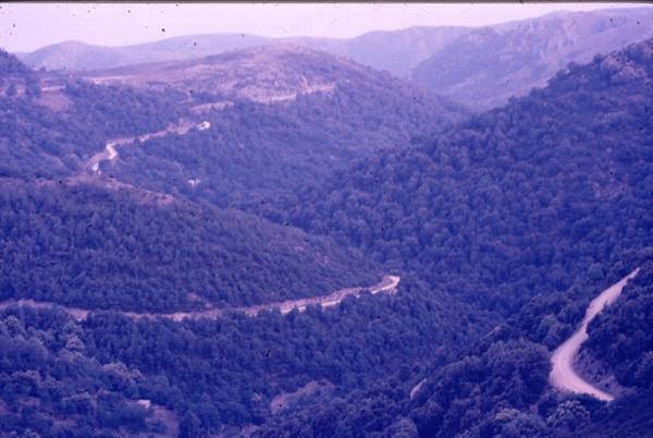 Dirt road winds through green forested hills