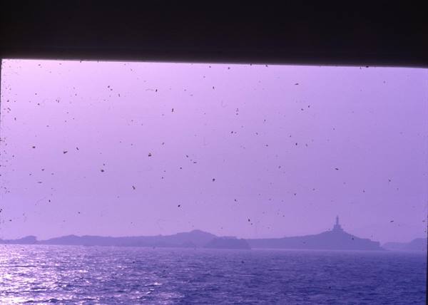 Island with lighthouse backlit across the sea, dust-damaged film