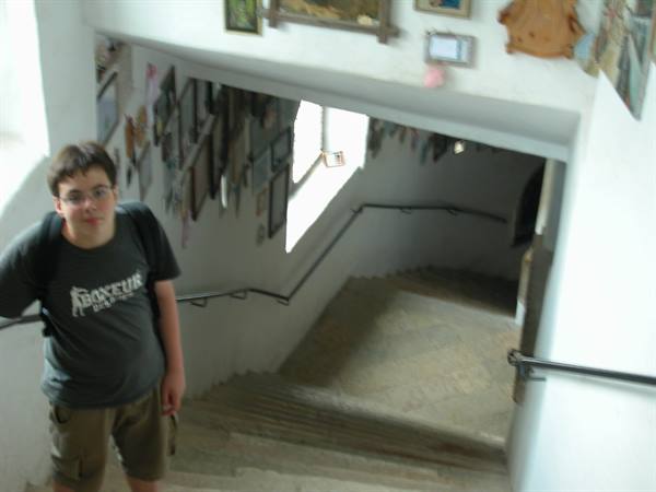 Boy with backpack on indoor staircase, paintings hanging on white walls