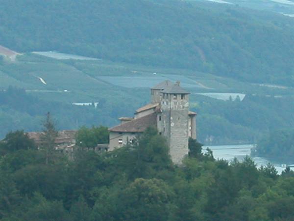 Old stone castle with tower, surrounded by trees and misty vineyards