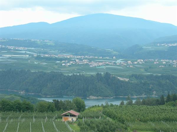 Vineyards and orchards above Lake Santa Croce, scattered houses and hazy mountains