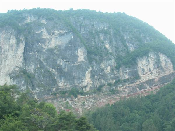 Rocky cliff with red strata, green forest below, diffused daylight