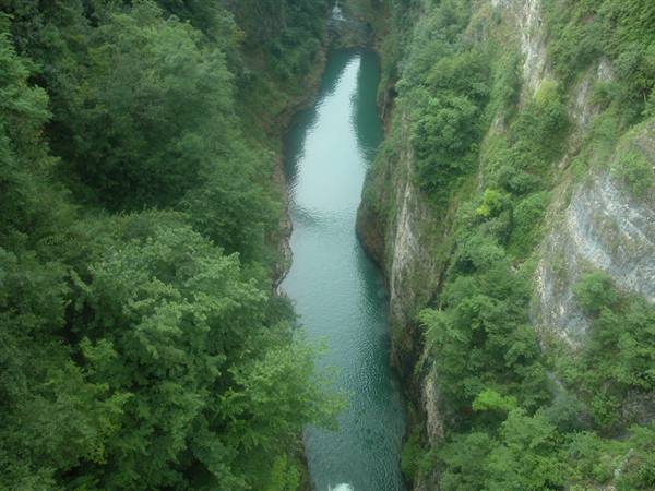 Green river flowing between rock walls covered with trees