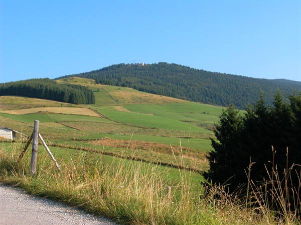 Green hills with fir woods and wooden fence along gravel road