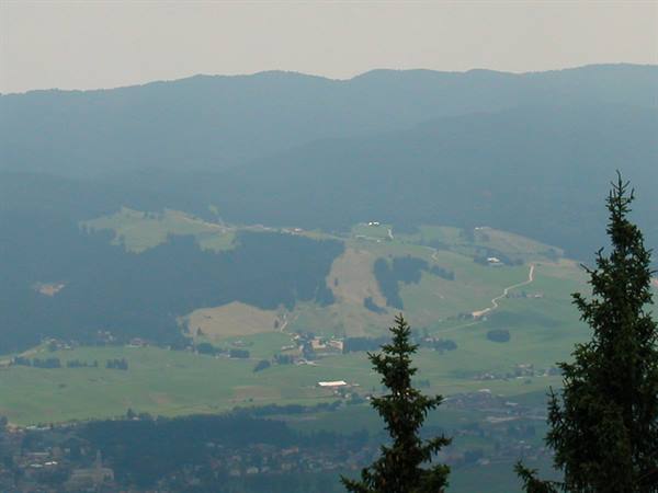 Fir trees in foreground, green rolling hills and villages in hazy valley