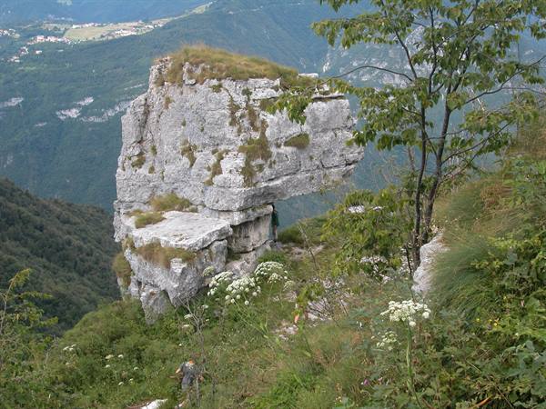 Limestone rock formation overhanging the valley, among trees and white flowers