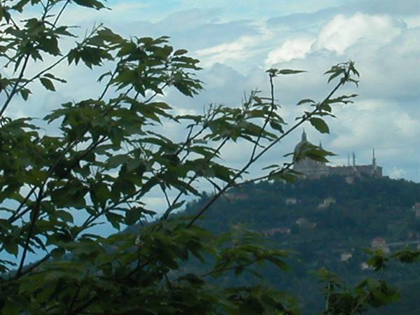Green branches frame the Superga basilica on the Turin hill