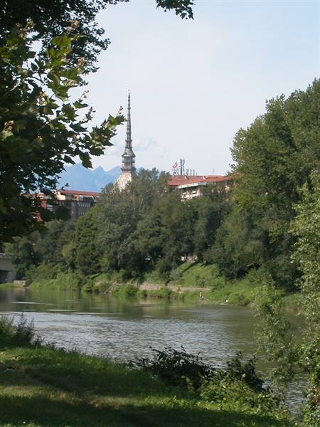 The Mole Antonelliana above trees along the Po river in Turin