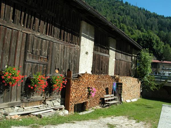 Wooden barn with red geraniums and stacked firewood, forested mountain behind