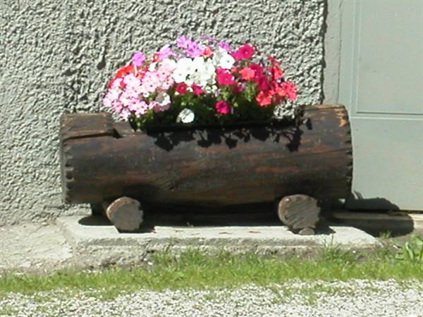 Hollowed wooden log planter with pink and white flowers against plastered wall