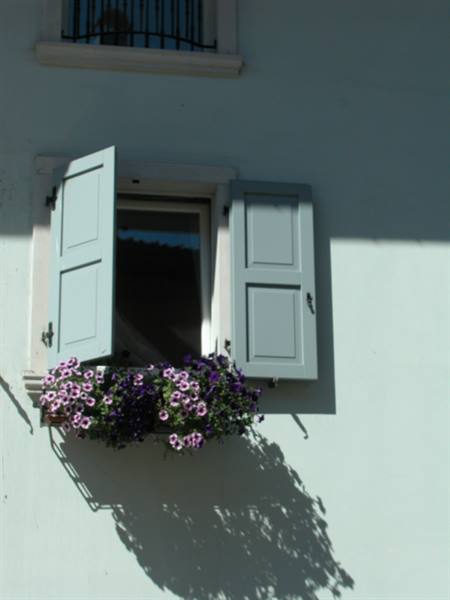 Window with open blue shutters and purple flowers on the sunlit sill