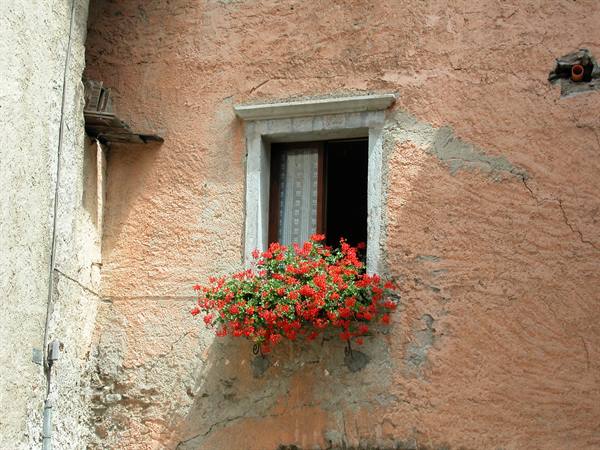 Stone-framed window with red geraniums on pink plastered wall