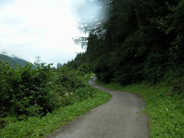 Paved path winding through trees, cyclist in distance, misty mountains behind