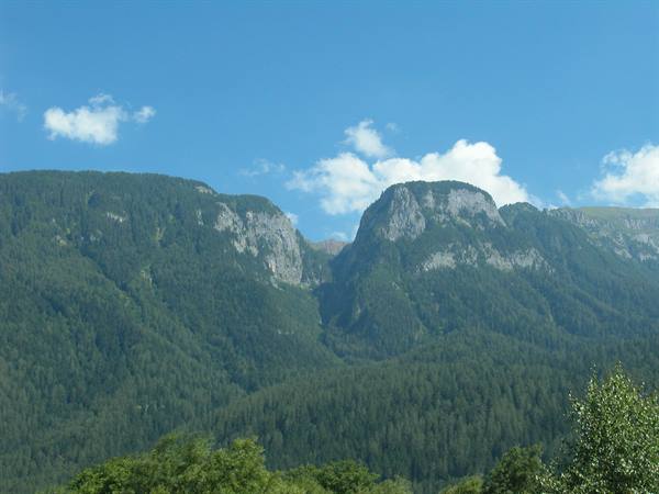 Rocky mountain covered with fir trees under blue sky with white clouds