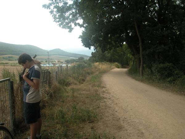 Boy leaning on fence by dirt road lined with trees, cultivated fields and hills around