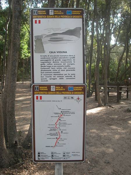 Trail information sign for Cala Violina among sunlit pine trees