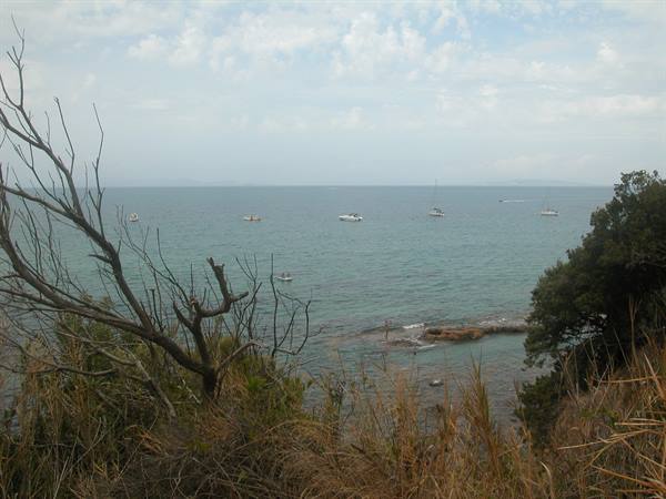 Boats anchored on turquoise sea framed by dry branches and shrubs