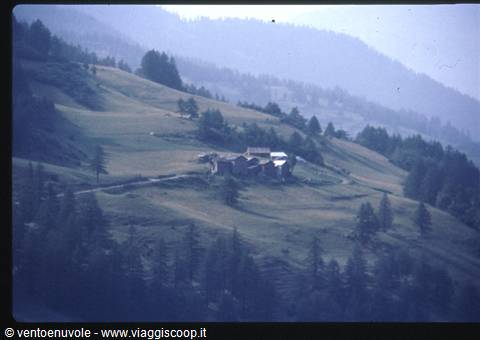 old wooden huts on green slopes with fir trees and misty mountains