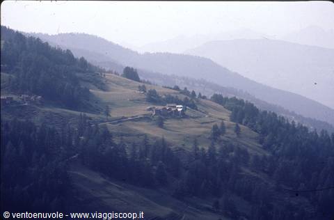 Wooden barn on green meadow among firs and misty mountains