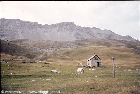 White horse grazing near a stone hut beneath rocky mountains