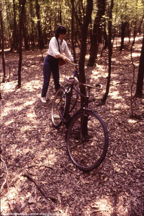 Woman with bicycle in a thin-trunked woodland, sunlight through leaves