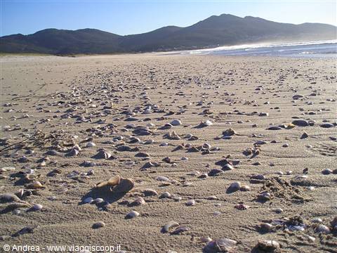 CADIZ BEACH