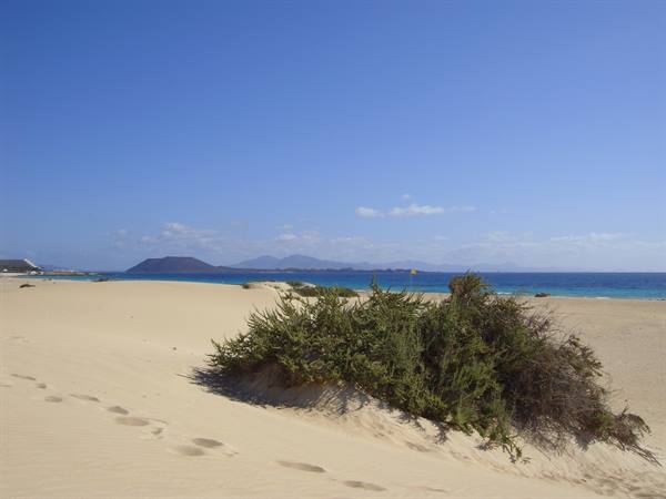 dunes