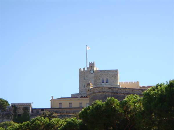 Castle, the prince's house