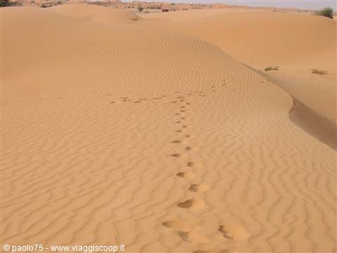 Footprints climbing the golden sand dune in the desert