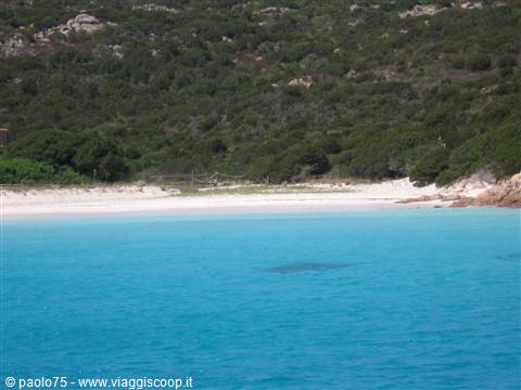 The Pink Beach of Budelli: rose-tinted sand between Mediterranean scrub and turquoise water