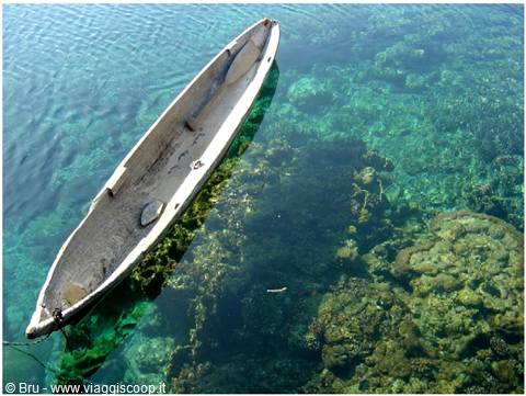 Outrigger canoe with transparency