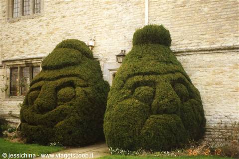 Two topiary faces smiling on trimmed yew bushes beside a stone manor wall