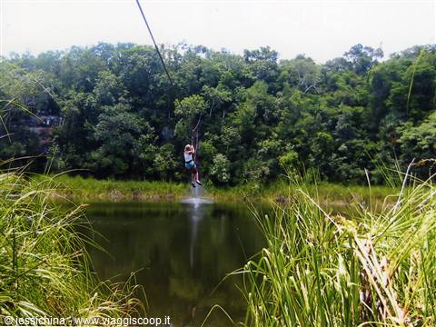 Tourist on a zipline over a small pond surrounded by tropical jungle