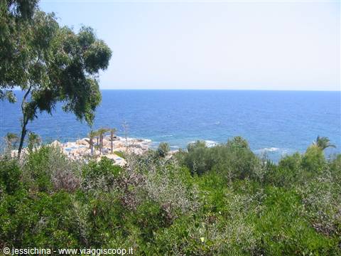 Mediterranean shrubs above granite rocks and blue sea in Sardinia