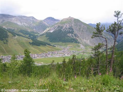 Livigno: village in the valley surrounded by green mountains under cloudy sky