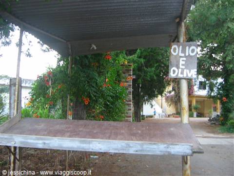 Metal roadside stall with Olio e Olive sign, orange flowers and rural houses
