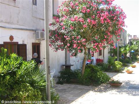 around san nicola