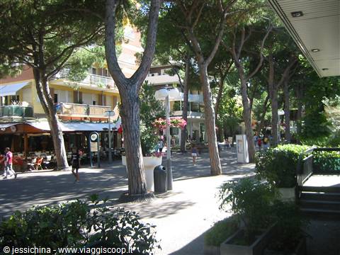 viale ceccarini