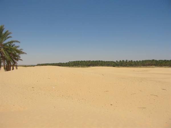 the gates of the sahara in douz
