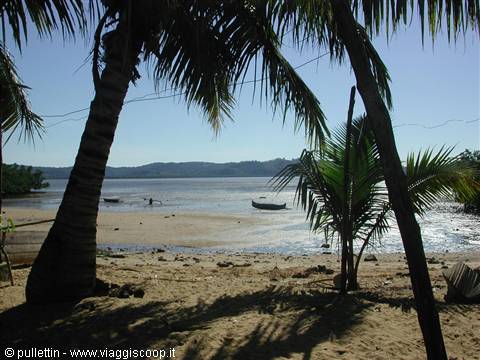 Palm trees on sandy beach, small boats moored in calm bay