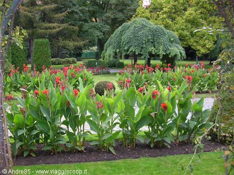 splendid garden