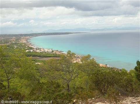 White sand and turquoise water seen through green pines under cloudy sky