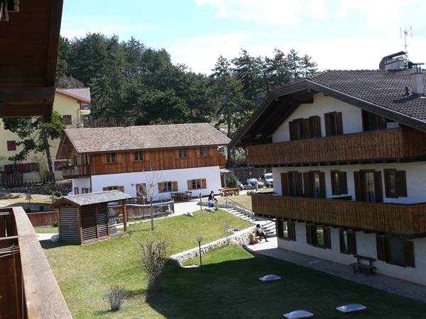 Wooden buildings with balconies in sunlight, green lawn and fir trees behind