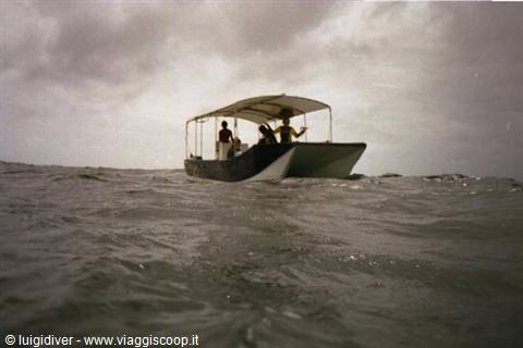 Canopied boat carrying tourists on choppy sea, cloudy sky