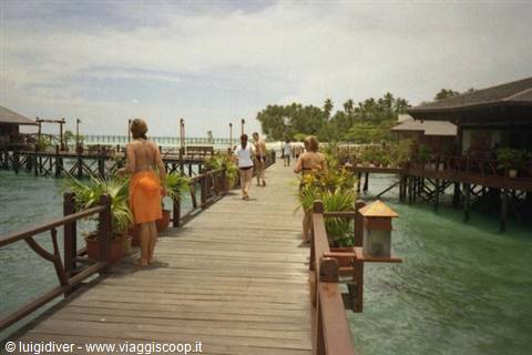 Tourists walk on wooden pier over green water among stilt houses